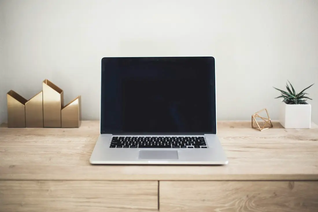 Laptop on wooden desk with decorative items and potted plant